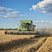 Работники сельхозпредприятия "Миллениум" увольняются не достигнув договорённостей с работодателем