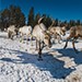 Принимаются меры реагирования для погашения задолженностей по зарплате перед работниками ООО "Абезь" в Республике Коми