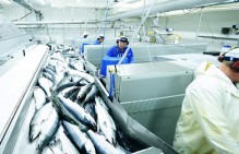На рыбоперерабатывающем комбинате в Санкт-Петербурге объявлен простой работников