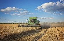 Работники сельхозпредприятия "Миллениум" увольняются не достигнув договорённостей с работодателем