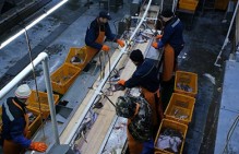 Коллективное обращение рабочих рыбоперерабатывающего завода "Сокра" о недопущении остановки производства