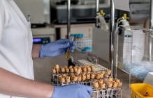Трудовая инспекция Алтайского края потребовала устранить нарушения трудовых прав медиков Славгородской больницы