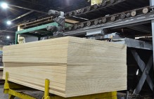 Состоялась встреча собственника ООО "Жешартский фанерный комбинат" с трудовым коллективом по обсуждению запуска производства