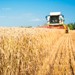 В Ростовской области аграриям СПК "Рассвет" восстановили выплаты заработной платы при содействии ОНФ