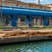 Обратившимся в трудовую инспекцию работникам ООО "Новосибирскбурвод", выплачены долги по зарплате