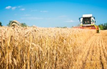 В Ростовской области аграриям СПК "Рассвет" восстановили выплаты заработной платы при содействии ОНФ