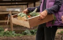 Коллективное обращение работников Приморской овощной станции за недопущение ликвидации учреждения