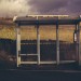 Законодательное собрание Нижегородской области подготовило обращение для решения проблемы дефицита водителей