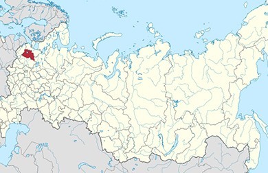 Снизилось количество судебных решений по взысканию долгов по зарплатам в Новгородской области