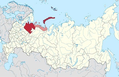 Проект по содействию занятости "Юные помощники" реализуется в Архангельской области