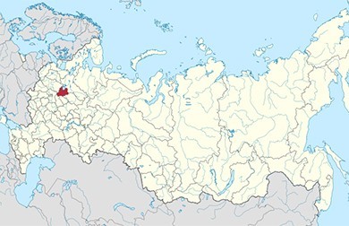 Главврач ГБУЗ "Рыбинская городская больница №1" объяснил позицию по сокращению персонала