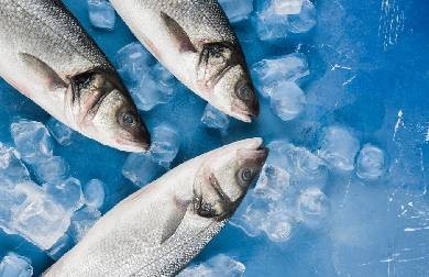 Служба занятости Астраханской области трудоустраивает рыбаков